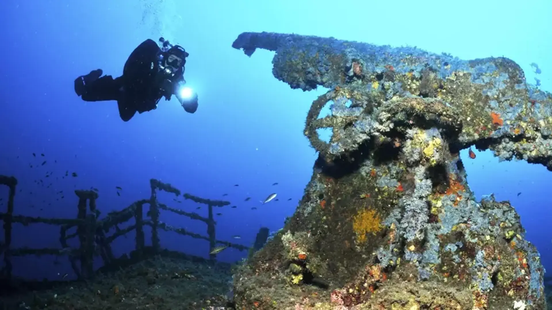 Dykning I Malta3 1010X500 Acf Cropped