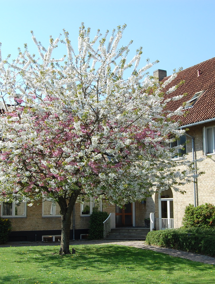 Administration (1)