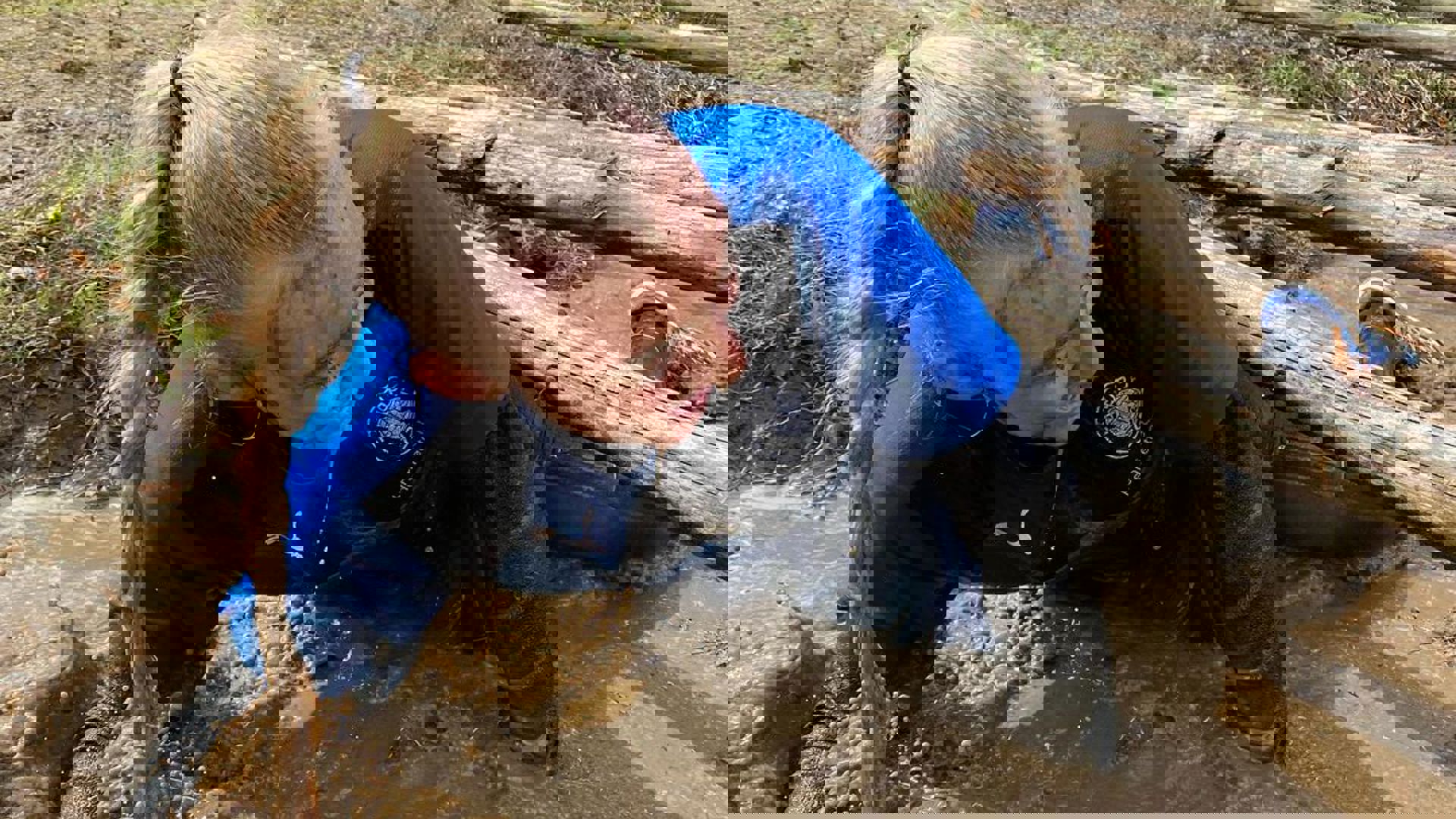 Viborgih 174418192 286446399712073 9146305847219491887 N