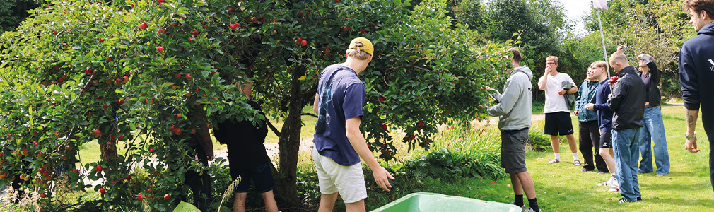 1010X300 Nyttehaven Naturhuset