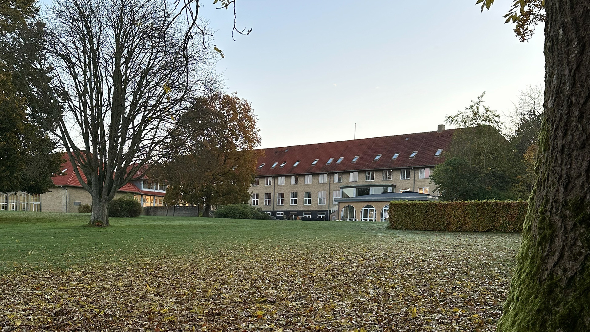 1920X1080 Udendørs Efterår Haven