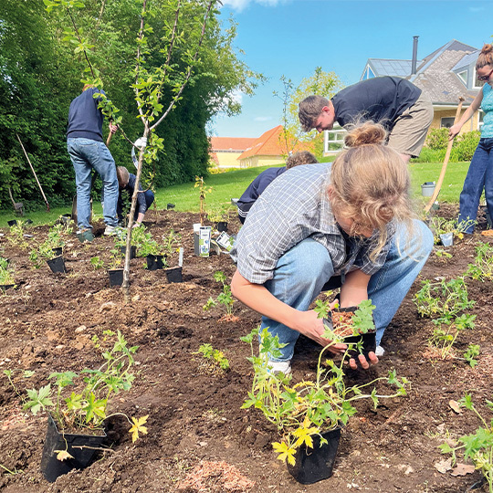 540X540 Nyttehaven Naturhuset