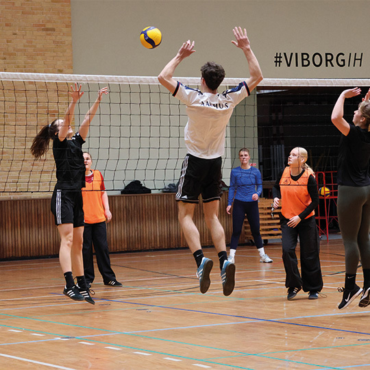 540X540 Volley I Hallen