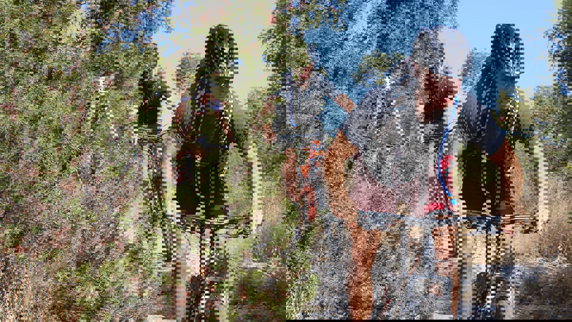 70556183 10156926657639580 1995594672197599232 O