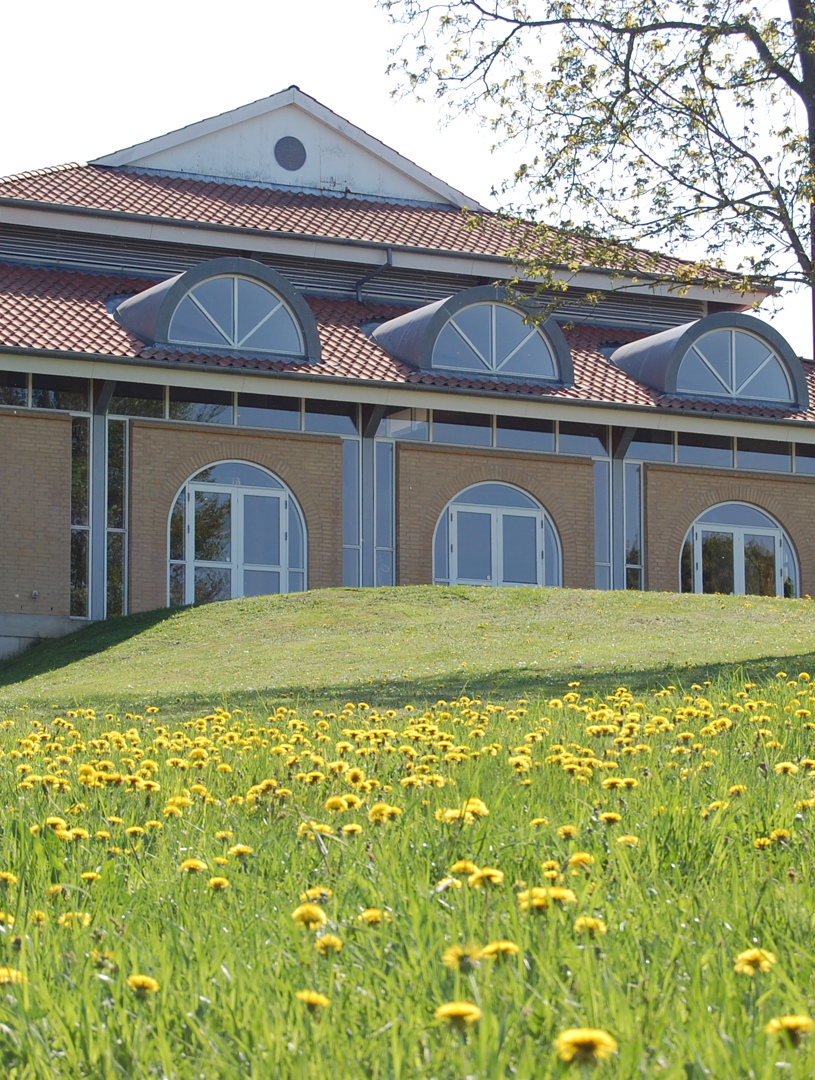 Springsalen