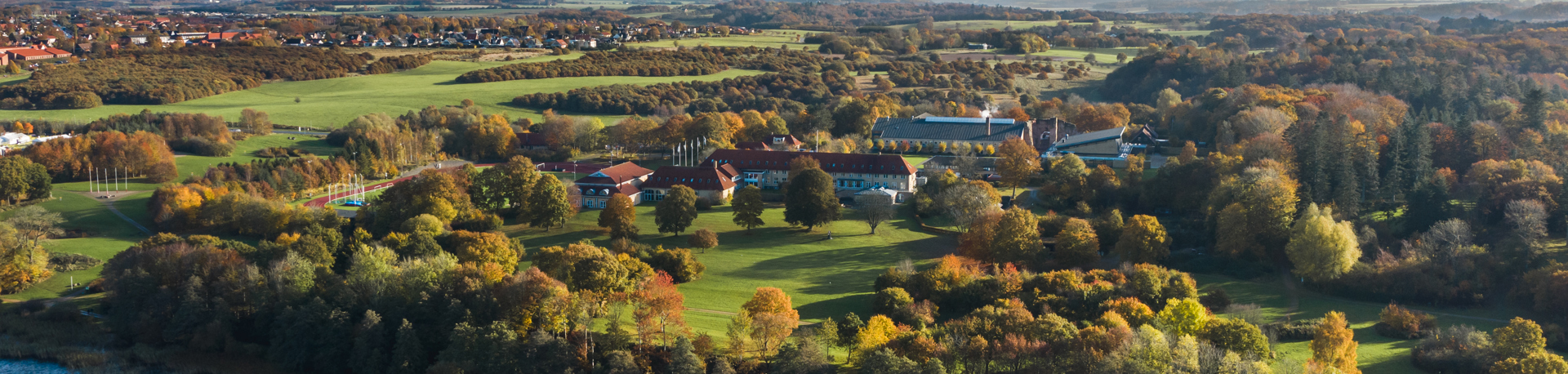 Viborgih Dronebillede 29.10.20