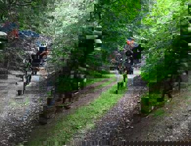 1920x540 Mtb